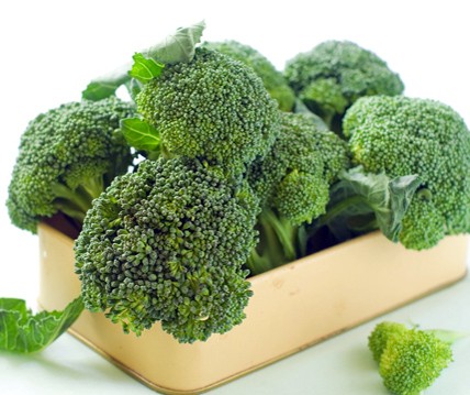 Broccoli Frö ´Marathon´ F1