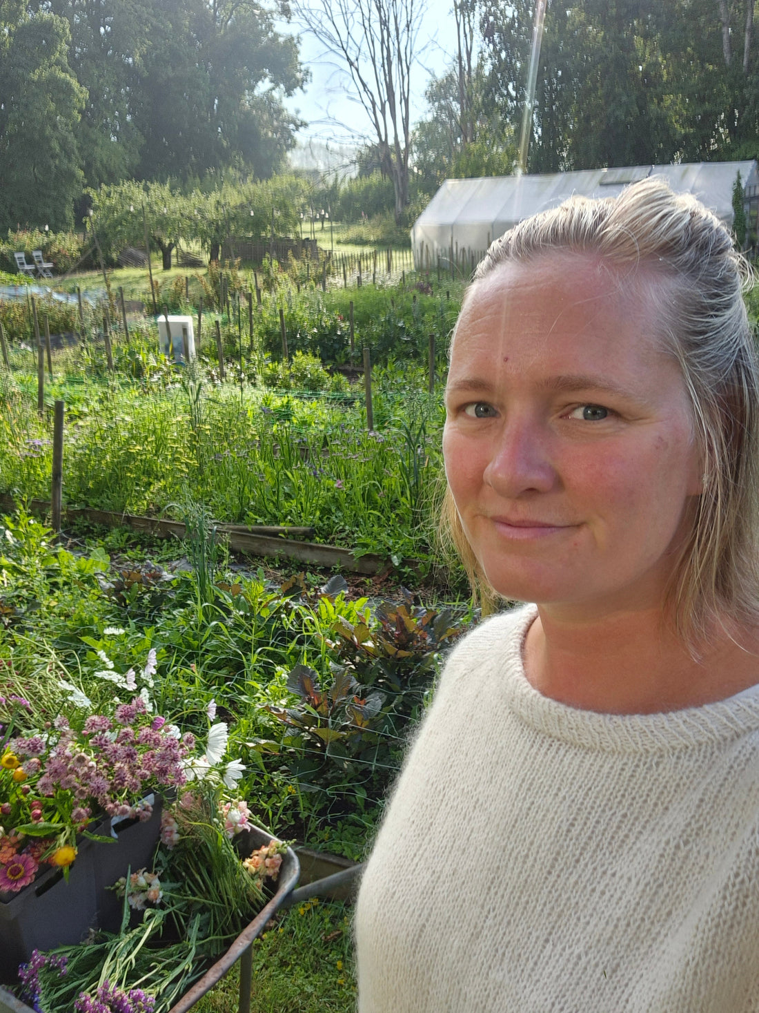 Odla snittblommor – skapa din egen drömmiga blomsterträdgård