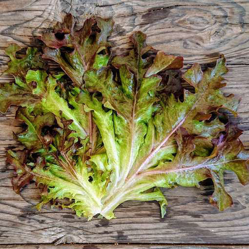 Sallat Frö ´Mascara´