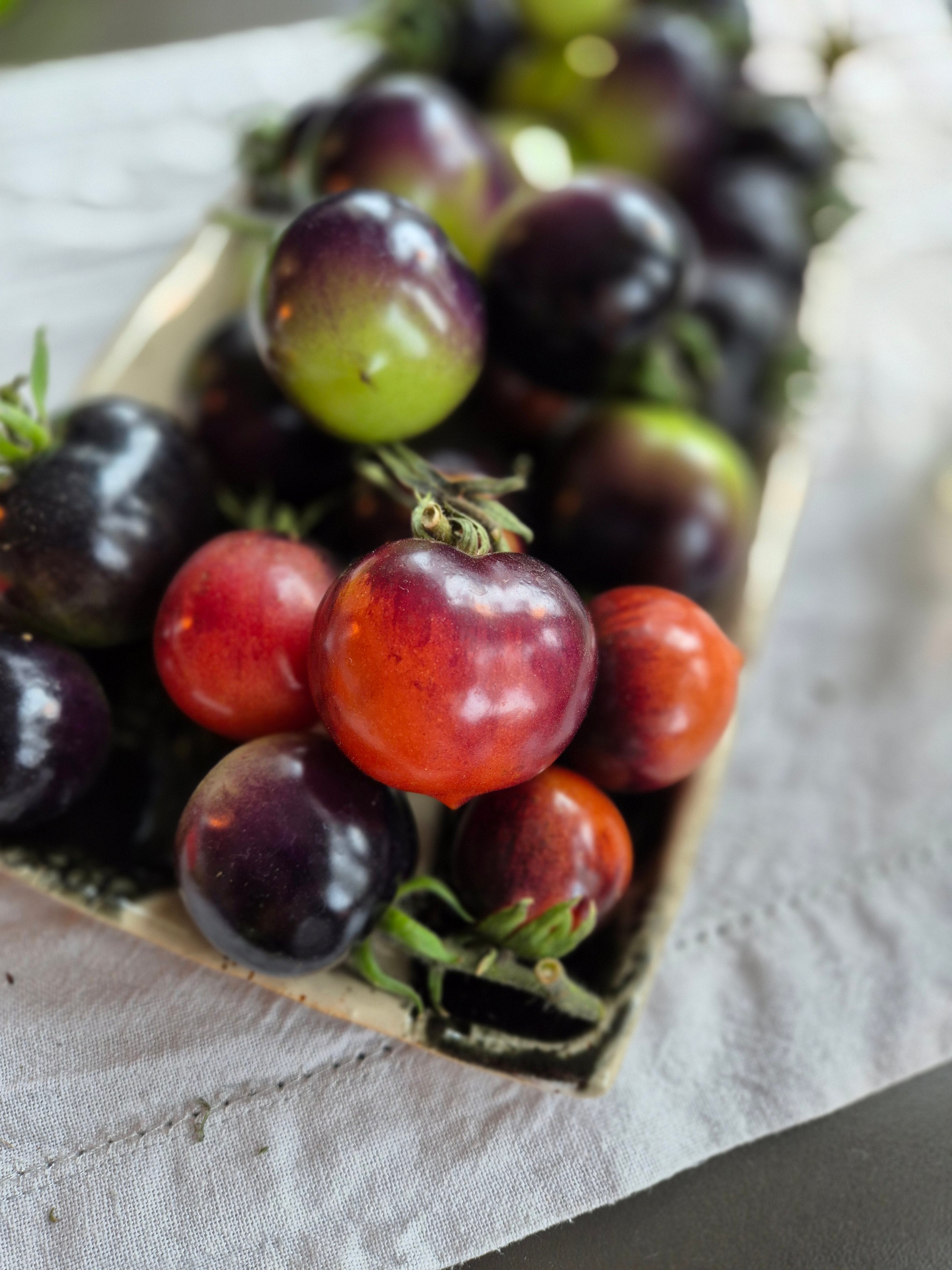 Tomat Frö ´Indigo Rose´