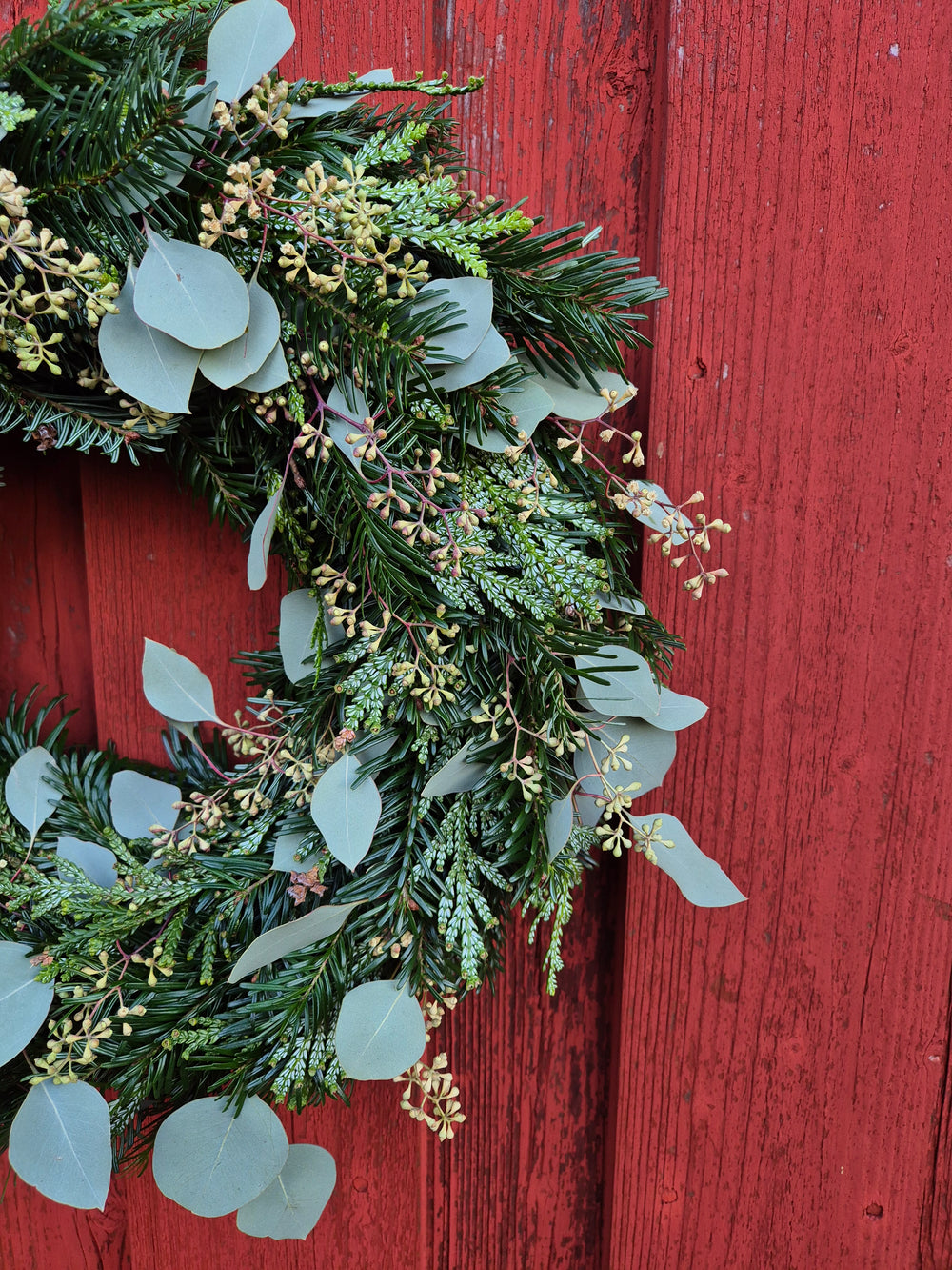 Dörrkrans Jul (endast avhämtning i Butik)