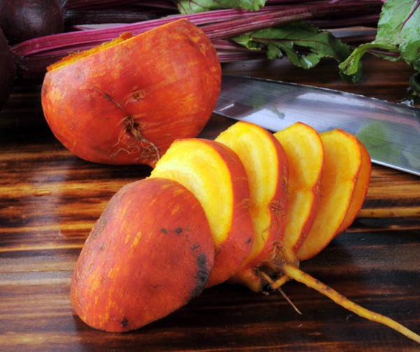 Gul Rödbeta Frö ´Burpees Golden´