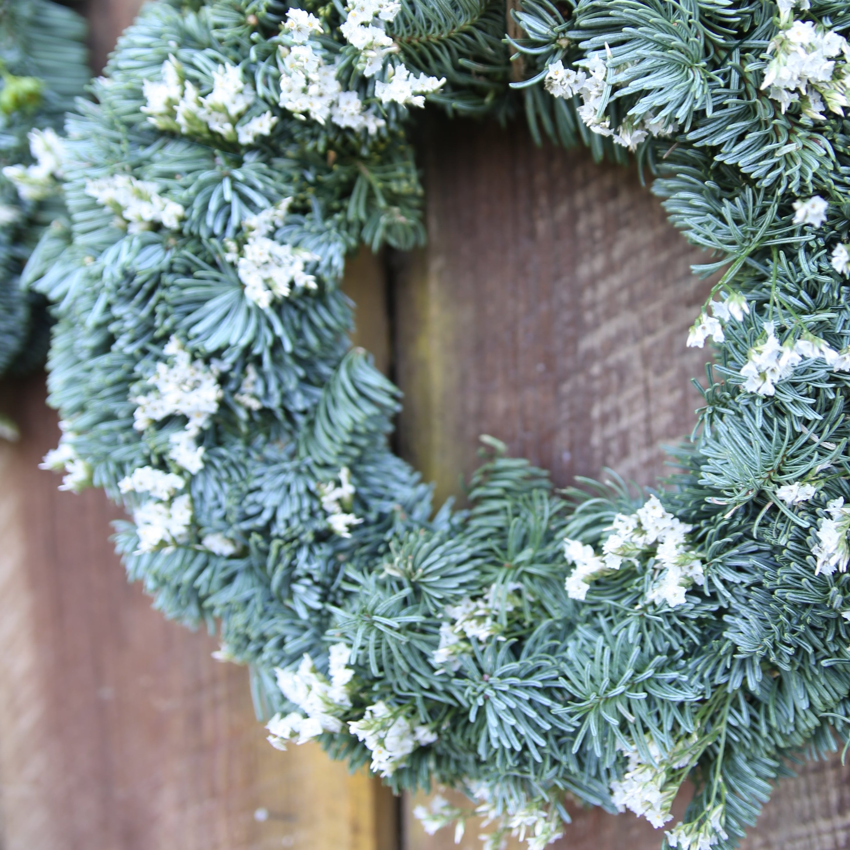 Workshop Kransbinderi Onsdag 19/11 -2025