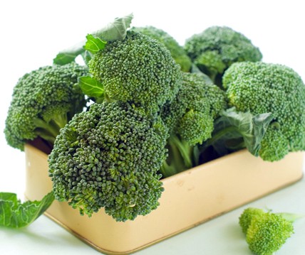 Broccoli ´Marathon´ F1