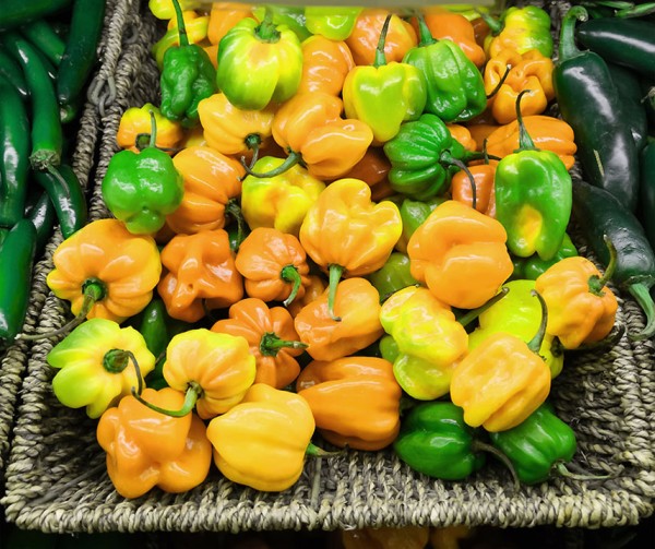 Havannapeppar Frö ´ Habanero Big Sun´