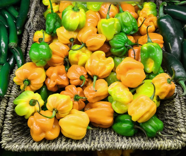 Havannapeppar ´ Habanero Big Sun´