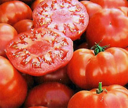 Tomat Frö Biff ´Marmande´ Eko