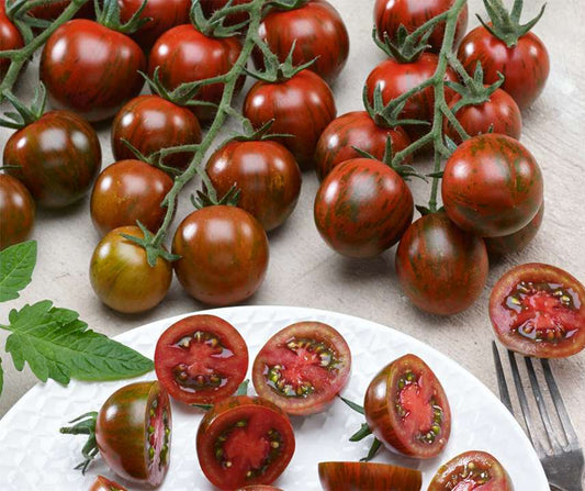 Tomat Körsbärs ´Tigrino´