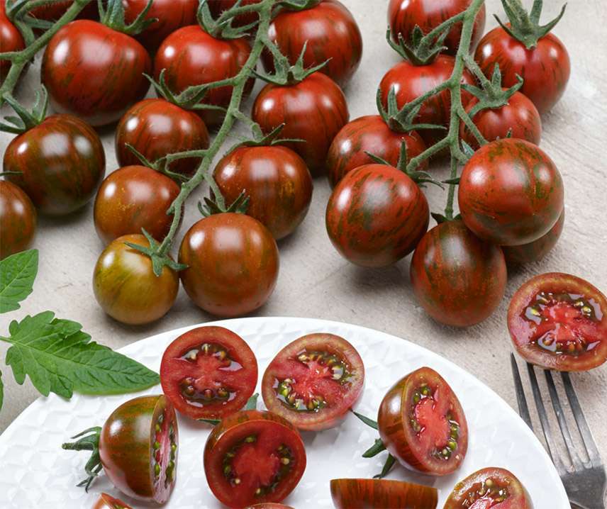 Tomat Frö Körsbärs ´Tigrino´