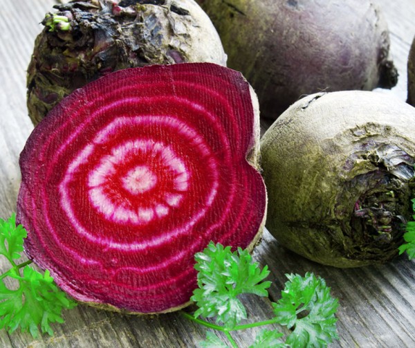 Rödbeta Frö ´Tonda di Chioggia´